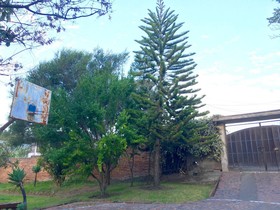 Nispero Country House