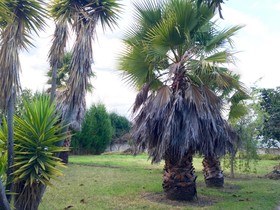 Nispero Country House