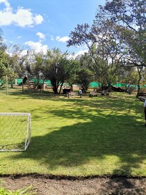 La Granja De Papa Alberto