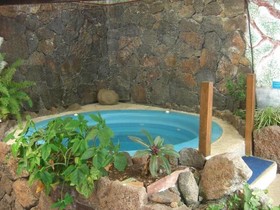 Maytenus Galapagos