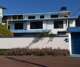 Maytenus Galapagos