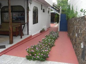 Maytenus Galapagos