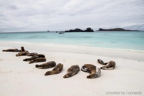 Finch Bay Galapagos Hotel