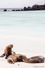 Finch Bay Galapagos Hotel