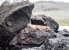 Finch Bay Galapagos Hotel