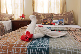 Galapagos Dreams