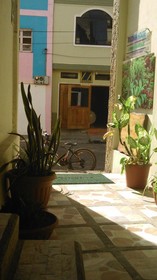Hostal Miconia