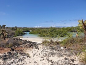 Palo Santo Galapagos Hotel