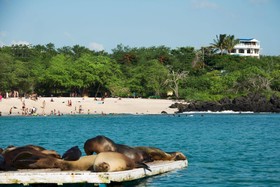 Casa Playa Mann Galapagos