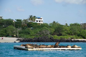 Casa Playa Mann Galapagos