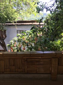 Hostal Villa Colombia