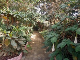 Hostal Villa Colombia