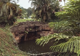 Puerto Quito Lodge by DOT Light