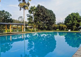 Puerto Quito Lodge by DOT Light