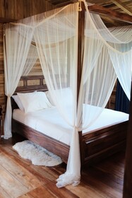 The River House