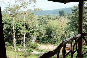 The River House