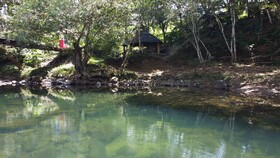 The River House