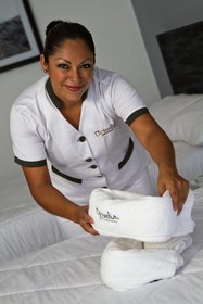Hotel Volcano