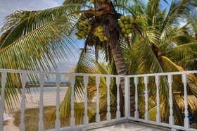 The Isabela Beach House