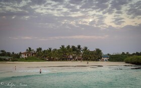 The Isabela Beach House