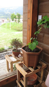 Casa 929