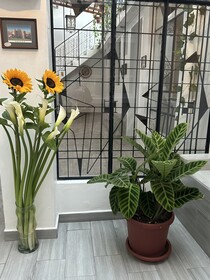 Casa Balthazar Hostel