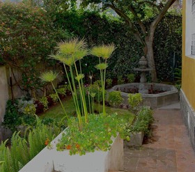 La Casa Amarilla