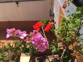 Mediterráneo Quito