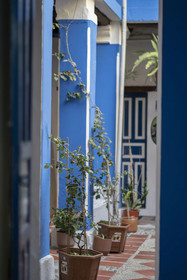 The Blue Door Housing