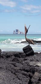 Galapagos Eco Friendly