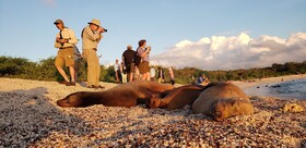 Galapagos Eco Friendly