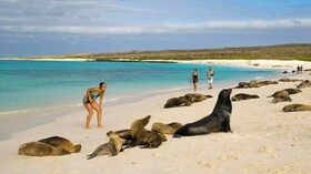 Golden Bay Hotel & Spa