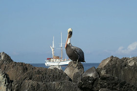 Twin Lodge Galapagos
