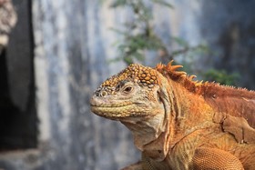 Twin Lodge Galapagos