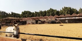Equestrian Lodge - Pyramids Egypt