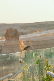 Pyramids Valley