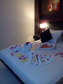 Panacea hotel