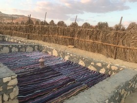 Siwa Tonaroz
