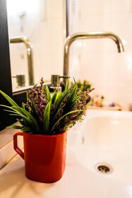 Desert Pearl Apartments