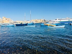 Desert Pearl Apartments