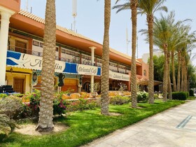 Desert Pearl Apartments