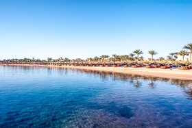 JAZ Neo Saraya Palms