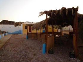 Dolphin Camp