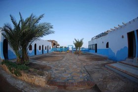 Dolphin Camp