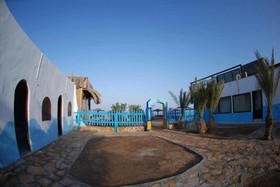 Dolphin Camp