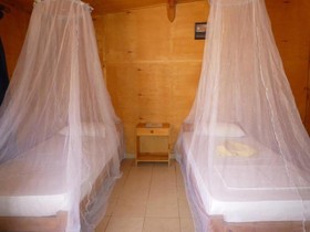 Dolphin Camp