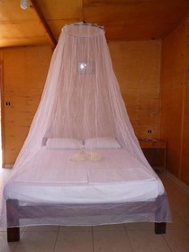 Dolphin Camp