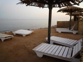 Dolphin Camp