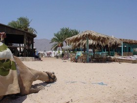 Habiba Beach Lodge
