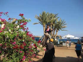 Habiba Beach Lodge